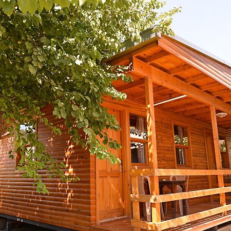 Tolay Hotel Олудениз Екстериор снимка
